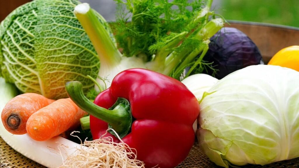 わきがの改善に役立つ栄養素と目標量