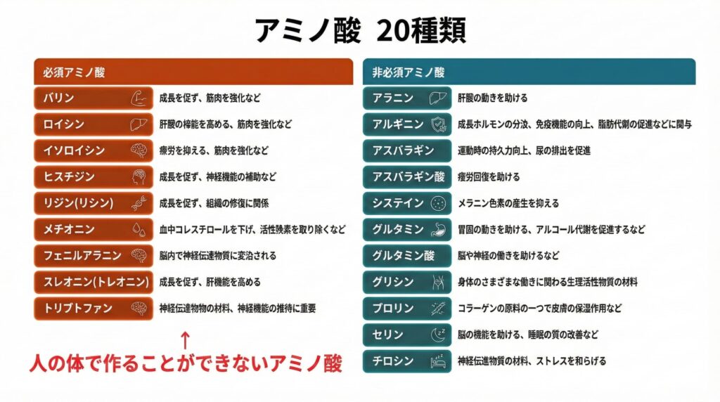 アミノ酸20種類